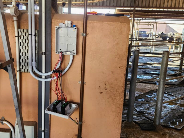 Homepage Gallery (5)